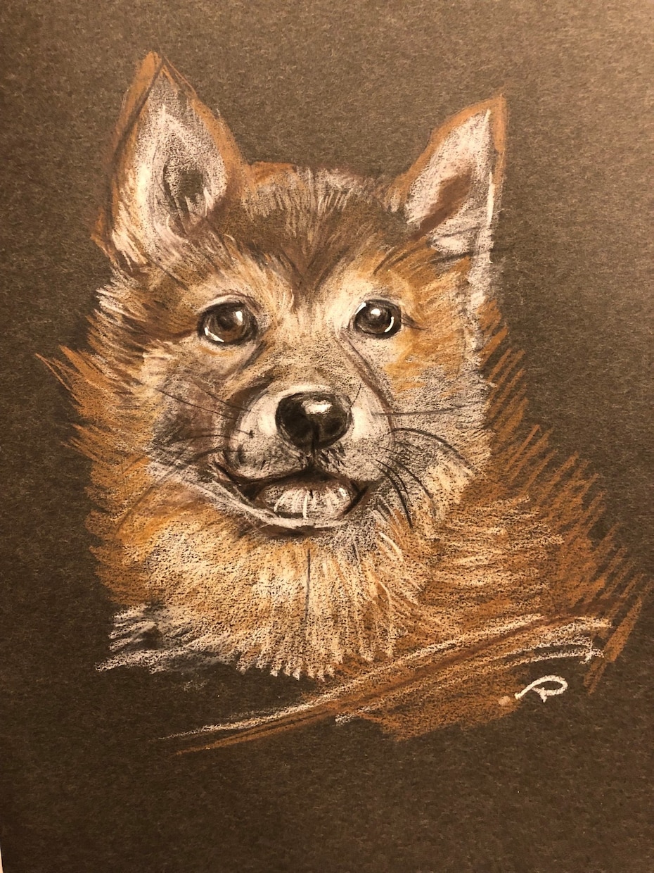 写真から鉛筆・色鉛筆でデッサン風似顔絵を描きます 人生に絵を残そう。こだわり手書き、加工一切なし。原画郵送。 イメージ10