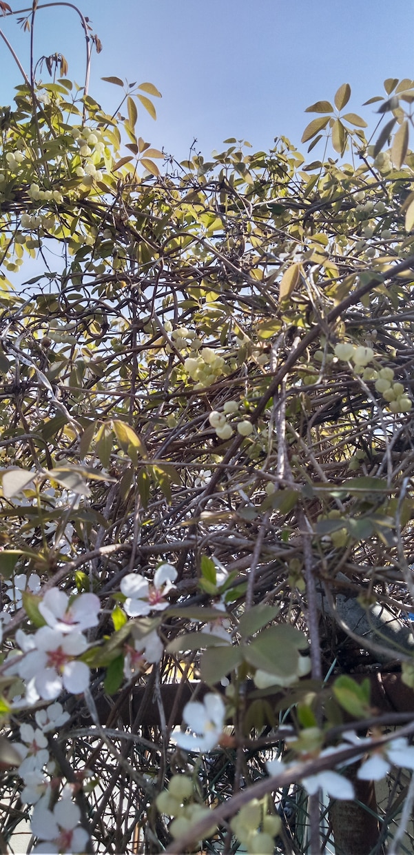 こんな写真をとご要望が頂ける様精進いたします どのような写真がご入り用ですか。 イメージ8