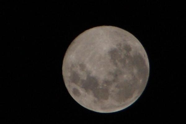 データ入力いたします。 イメージ1