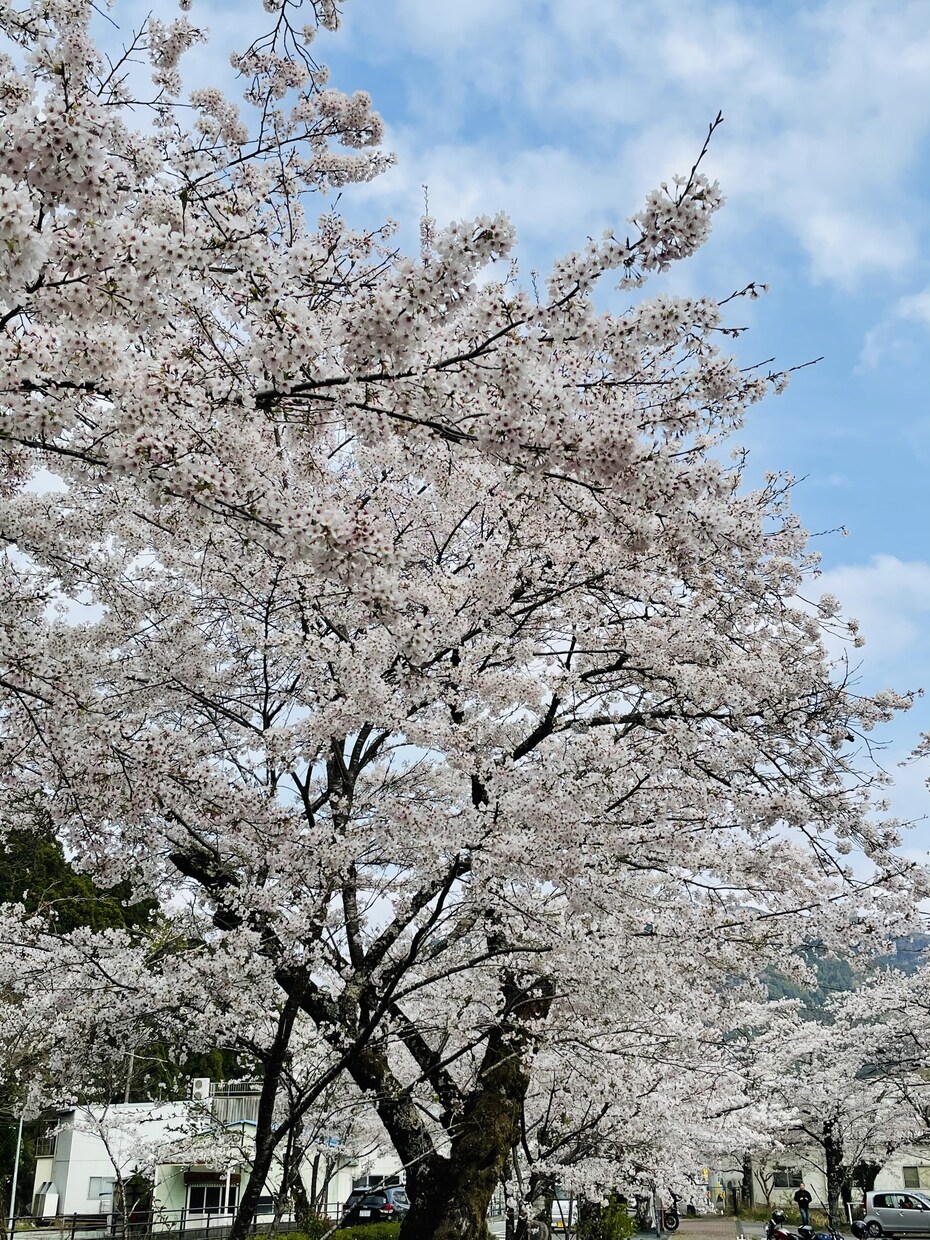 中学受験算数の問題解答作成やります 難関中学合格〜難関国立大理系院卒者がお手伝いします。 イメージ1