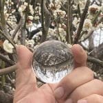スピリチュアル占いで転機とチャンスの時期を占います 今あなたが何をするべきかが見えてきます。 イメージ1