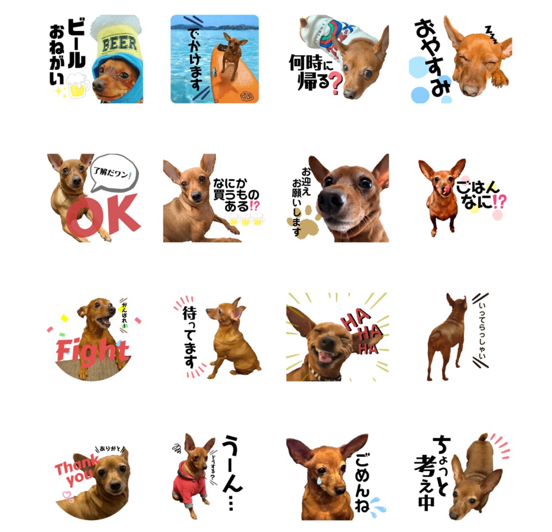 お好きな写真でLINEスタンプを作成します ペットや思い出の景色などをLINEスタンプにしませんか？ イメージ4