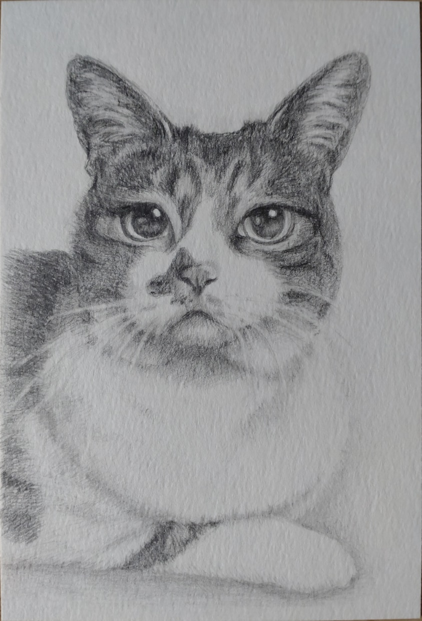 ペットの似顔絵を鉛筆で描きます 大好きなペットとの思い出を鉛筆画にしてみませんか？ イメージ7
