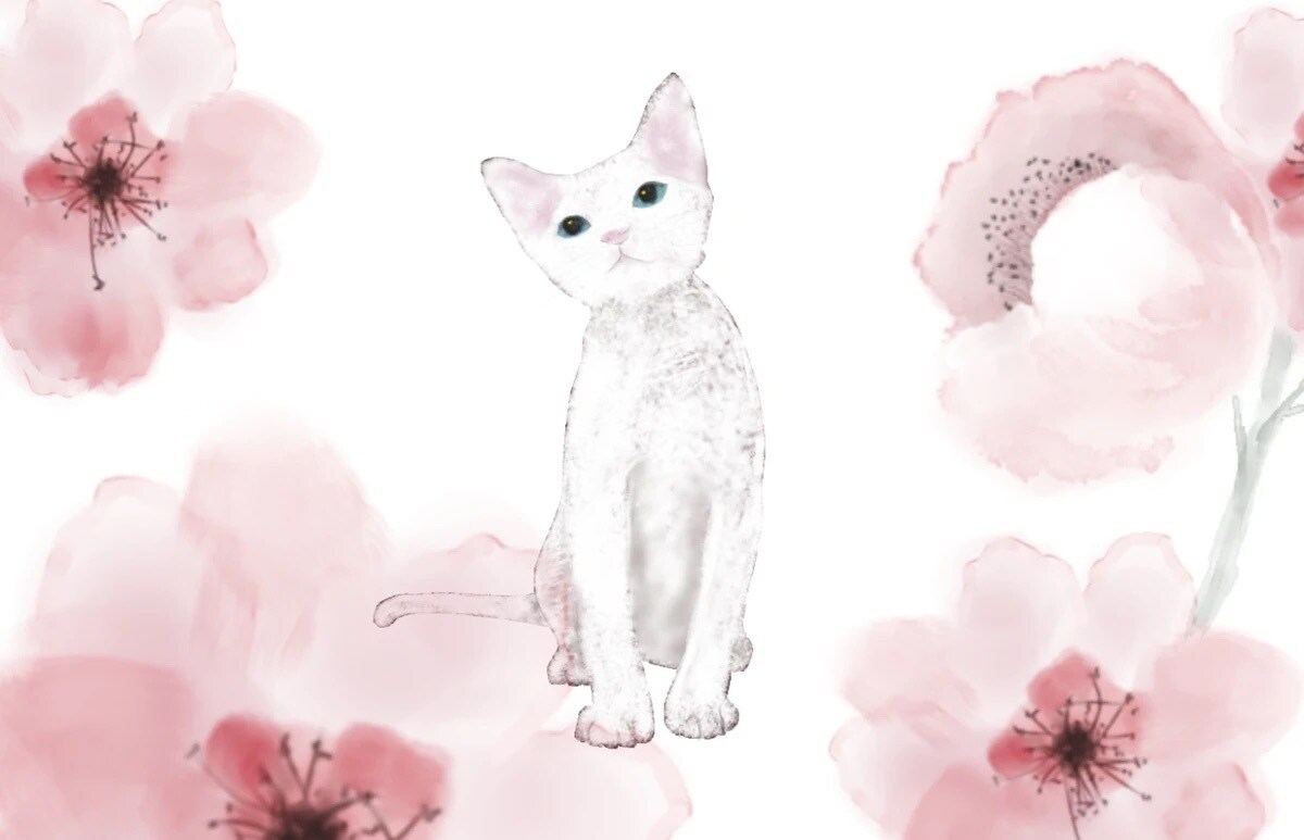 イラスト作製いたします 心ときめくデザインを丁寧にお届けします。 イメージ3