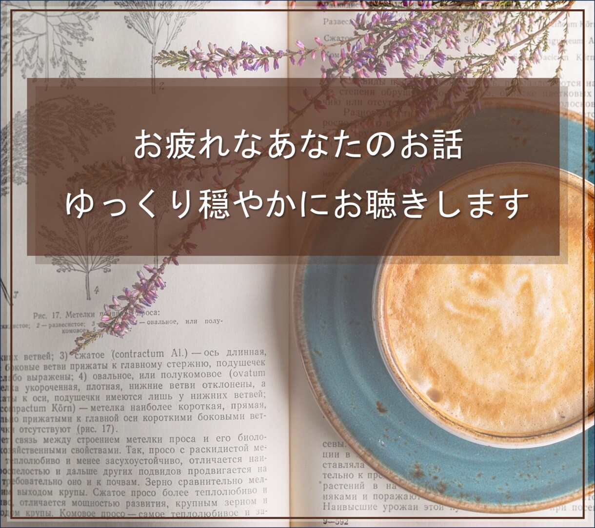 お疲れなあなたのお話、ゆっくり穏やかにお聴きします 明日に持ち越さないために、すべて吐き出していきませんか？ イメージ1