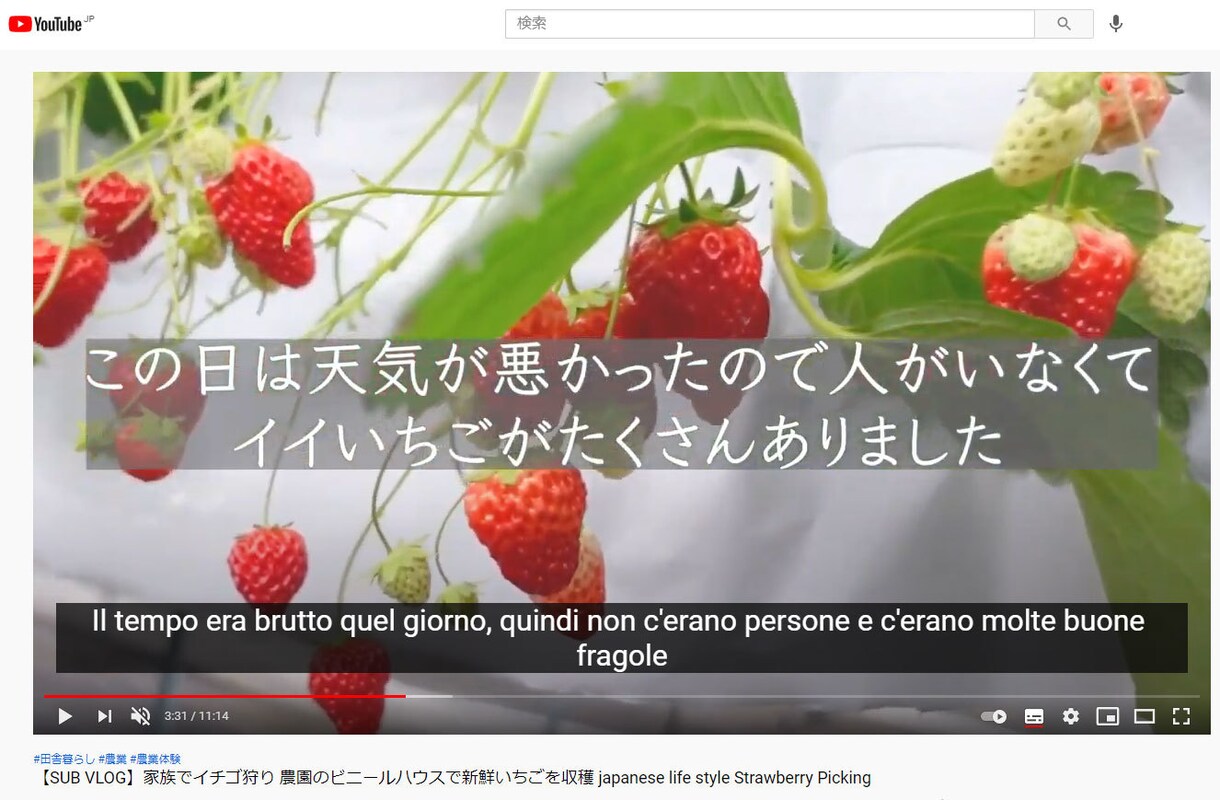 超低価格YouTube多言語字幕作成します １文字0.5円で多言語字幕作成します イメージ3