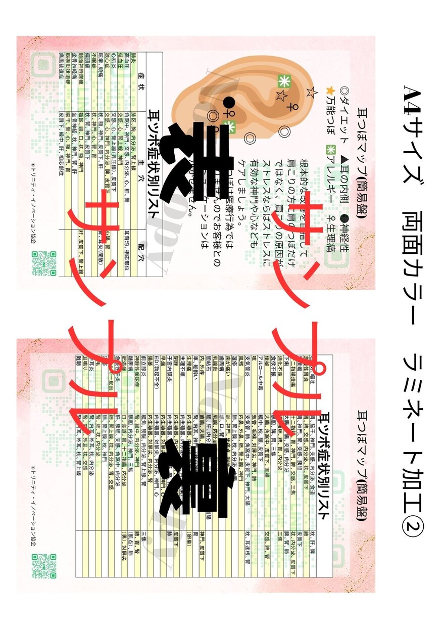 顔・耳つぼ療法士＋ジュエリークリエイター学べます ３種類のディプロマとスタートキット多数！エビデンスも◎ イメージ5