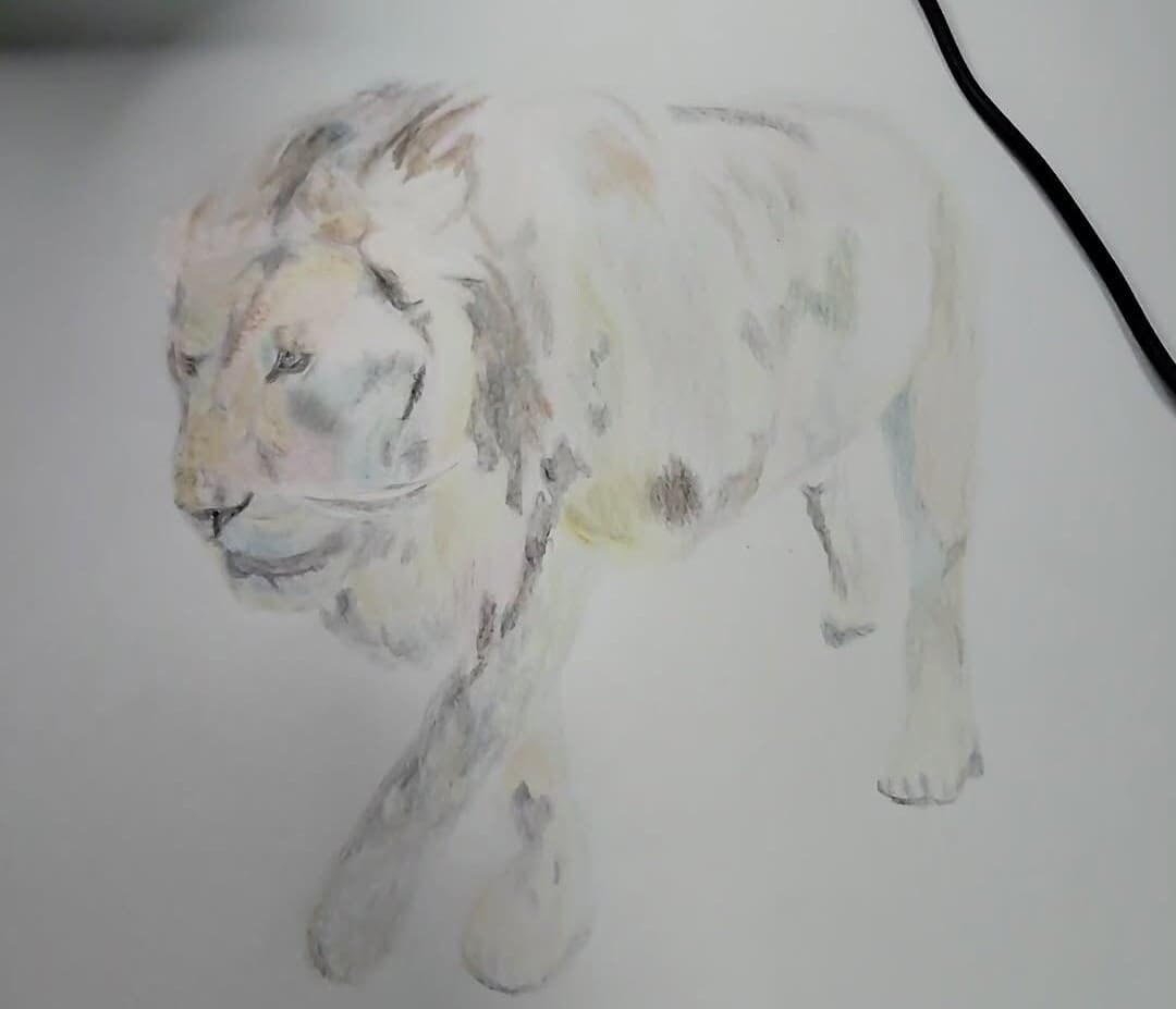 デジタルイラストも対応可能、よろしくお願いします 完全な写実表現や複雑な箇所をそのまま描くことはできかねます イメージ2