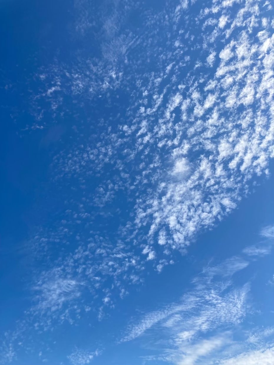 あなたの気持ちに寄り添います もやもやした恋の悩み吐き出してみませんか？ イメージ1