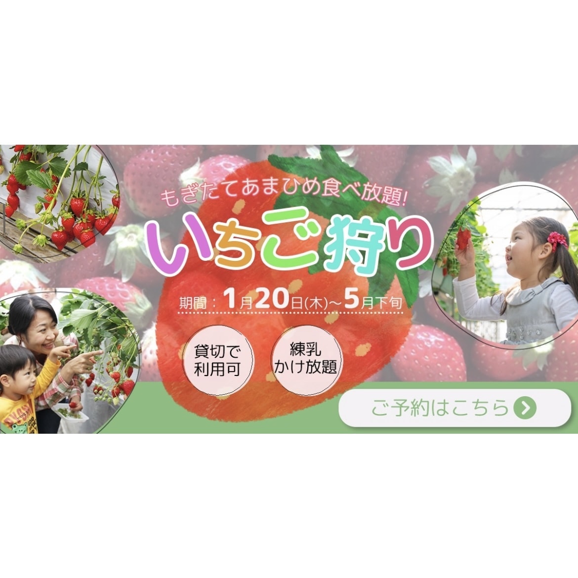 訴求力のあるバナーの画像作成します モニター価格有り‼︎ライティング知識を活かした制作ができます イメージ7