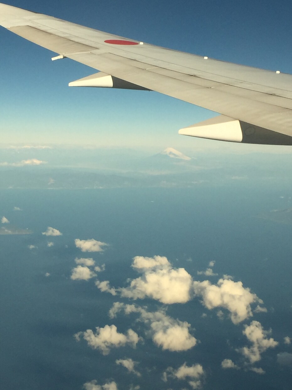 外資系航空会社CA書類作成承ります 外資系航空会社CA書類作成や現役客室乗務員の話。 イメージ1