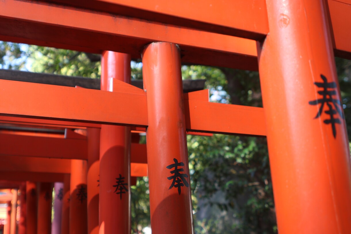 写真撮影行います あなたの代わりに写真撮影いたします！ イメージ6