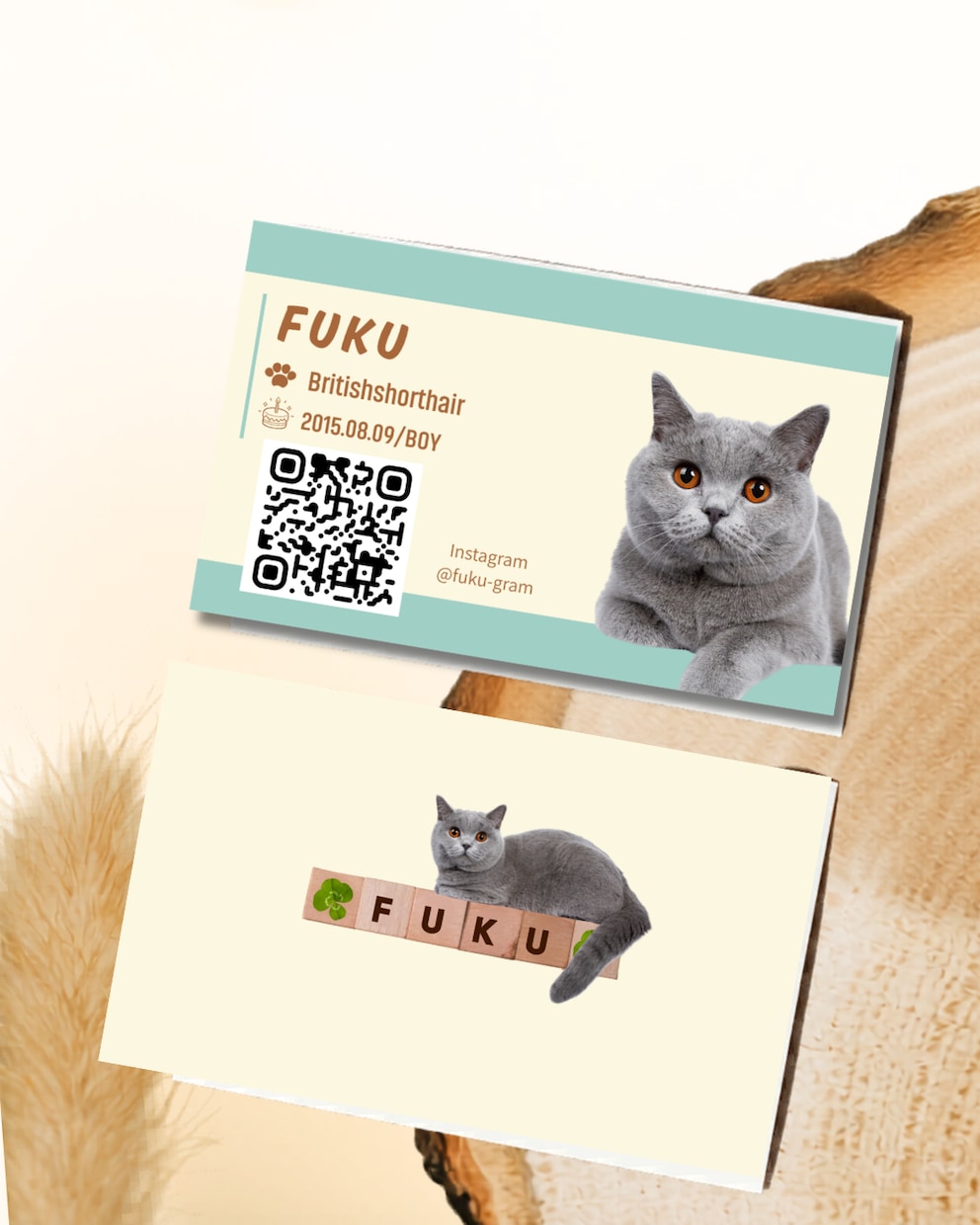 かわいい”うちの子”名刺をお作りしてます ねこちゃん名刺！かわいいパステルバイカラー イメージ2