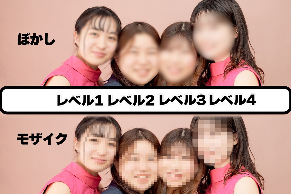 動画にぼかし・モザイクかけます 短い動画から長い動画まで加工します♪ イメージ1
