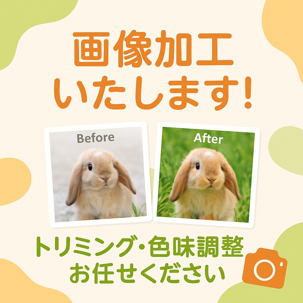 商品画像の背景変更・サイズ変更・明るさ調整します 画像を見やすく＆魅力的に加工します！5枚まで一律1,000円 イメージ1