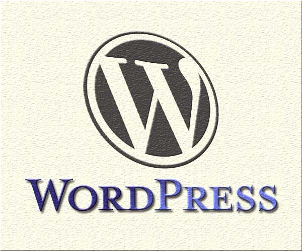 Wordpressのカスタマイズを1つ行います Wordpressテーマの編集等を行います イメージ1
