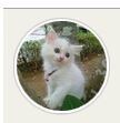 愛猫ちゃんの似顔絵・肖像画を描かせて頂きます 心を込めて丁寧に、ご家族の一員の猫ちゃんを描かせて頂きます。 イメージ5