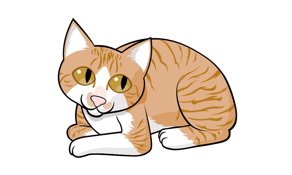 猫のデジタル似顔イラストをあすたのタッチで描きます スタジオあすたの「そこそこリアルタッチ」は猫好きの方向けです イメージ2