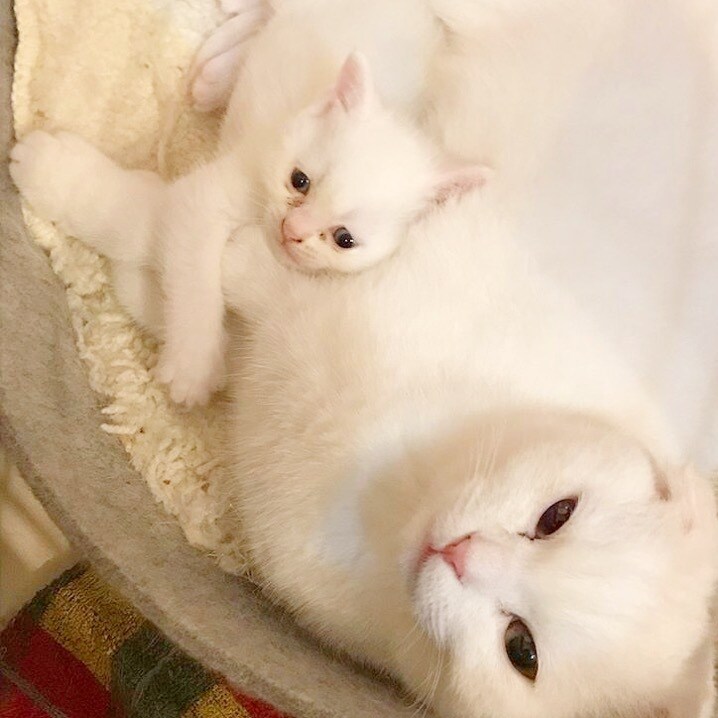 私にどーんと甘えてください！優しく受け止めます 大人でいることに疲れてしまったあなたへ。 イメージ1