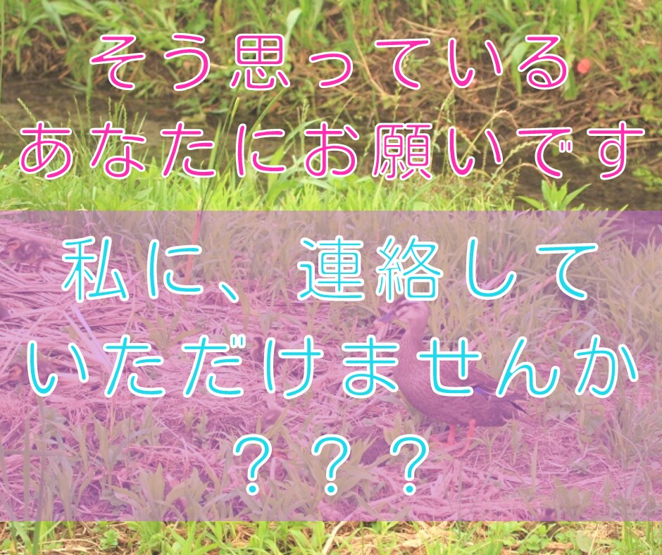 羊水検査を受けた経験があります 羊水検査を受ける決断が出来ず、話し相手が欲しい方へ イメージ6