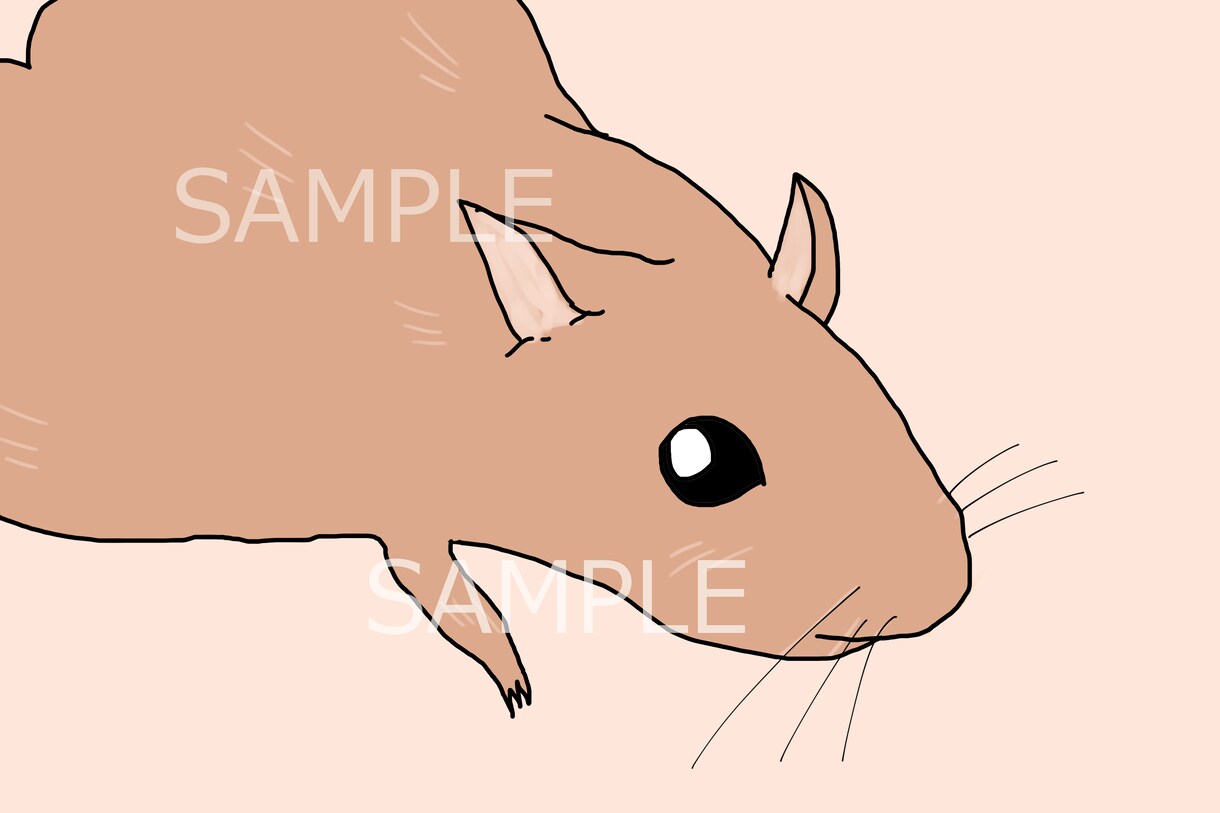 商用利用可☆ゆるくてかわいい人物や動物描きます 印象に残るイラストを目指しています イメージ5