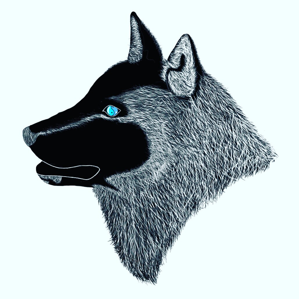 生き物を影絵/和風にロゴ/イラスト制作してます お客様好みの影絵/和風イラストが見つかるかも？ イメージ9
