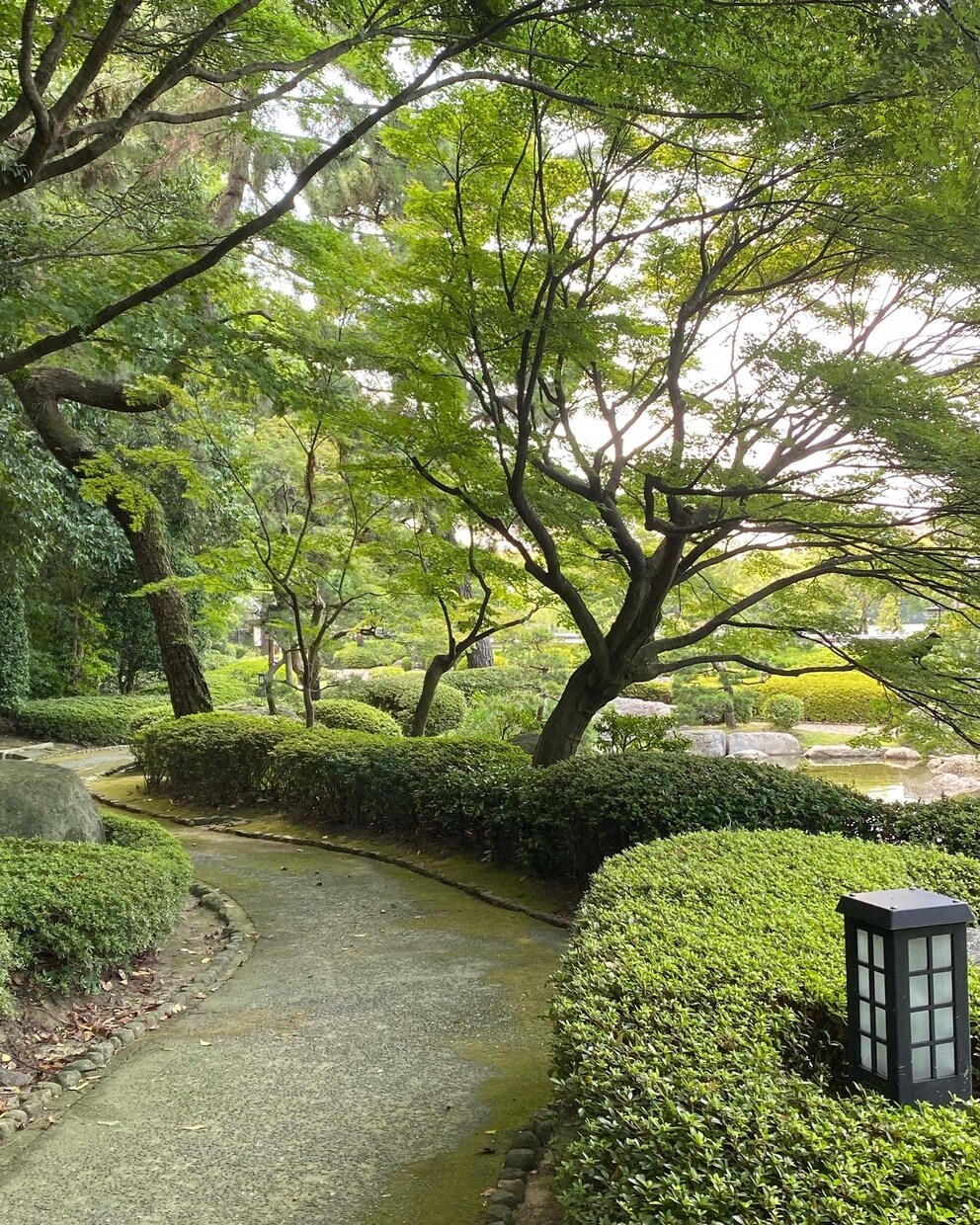 新規事業の立ち上げについて相談に乗ります 事業化企画の成功に向けて伴走します! イメージ3