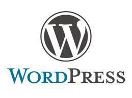BizVektorで構築したサイトの修正作業します WordPressをBizVektorテーマで構築した人向け イメージ2