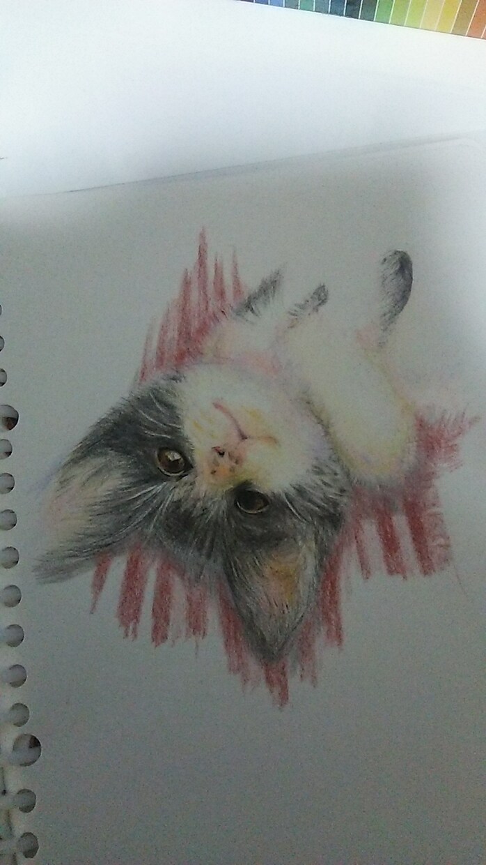 似顔絵イラスト描かせていただきます お祝いや記念品のプレゼントにお悩みの方 イメージ4