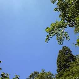 お悩みや愚痴をお引き受けいたします 職場での人間関係にすり減っている方のお話を伺います イメージ1