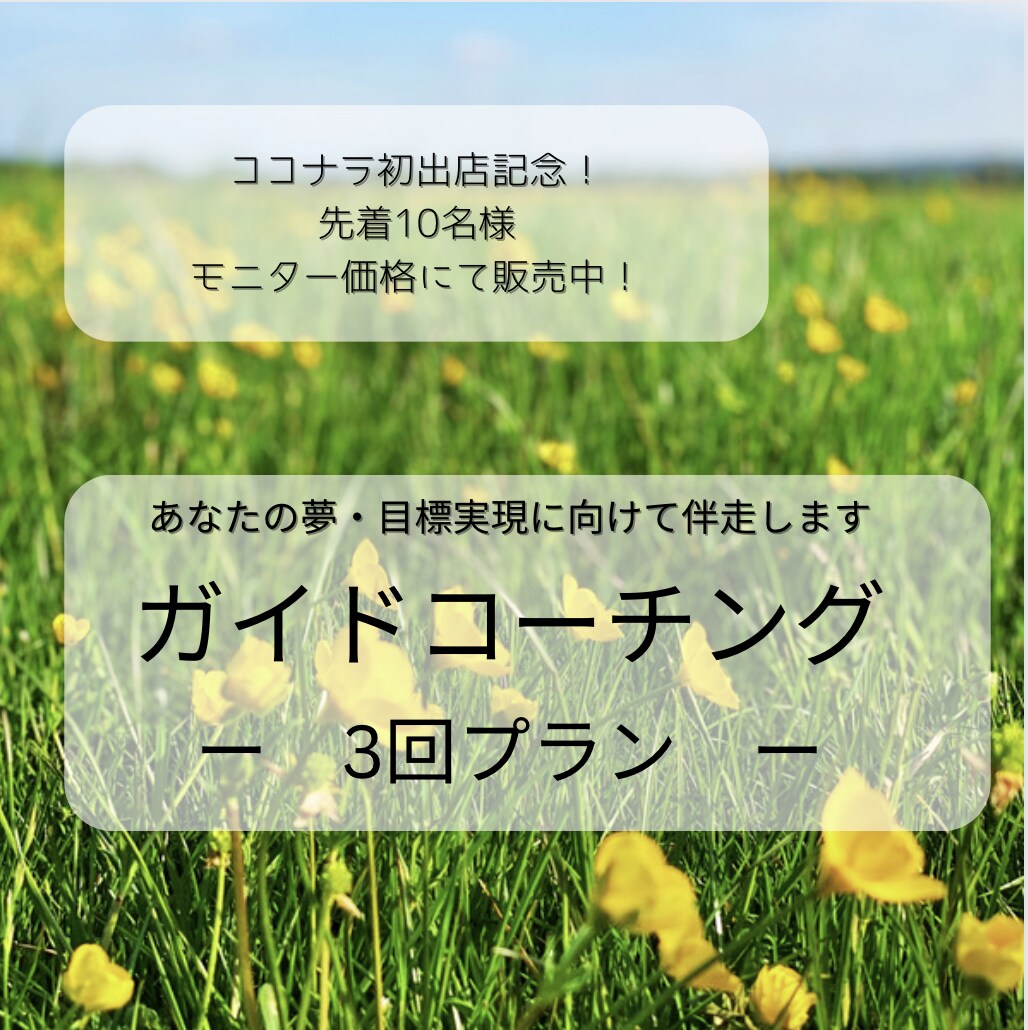 夢実現・目標達成に向けてのメンタルサポートをします 週一回ビデオチャットにてアクションプランの作成と達成度を確認 イメージ1