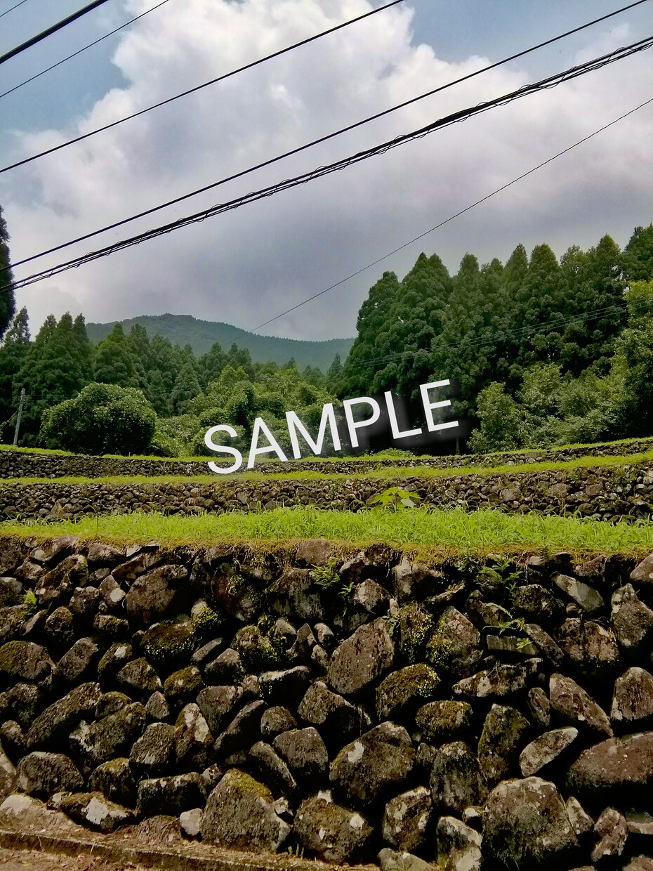 写真素材セットを提供します 待受や漫画、イラストの資料、背景などに。 イメージ2
