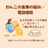犬の食事お悩み電話相談フード選びサポートします うちの子に合うごはん、一緒に考えます イメージ1