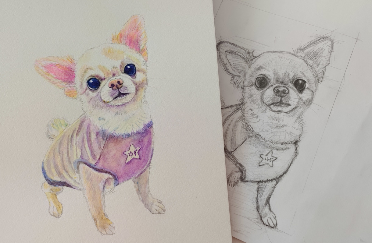 可愛いキラキラペットの似顔絵描きます かわいいペットの似顔絵デザインします！ イメージ7