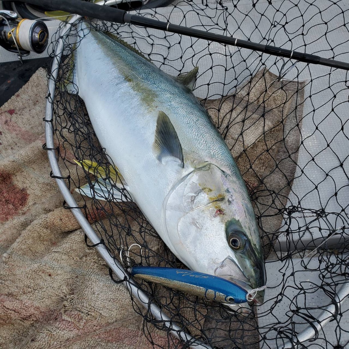 魚釣りのポイントや、おすすめのタックルおしえます 釣り歴39年の釣りバカです❗色々な釣りに精通してます❗ イメージ2