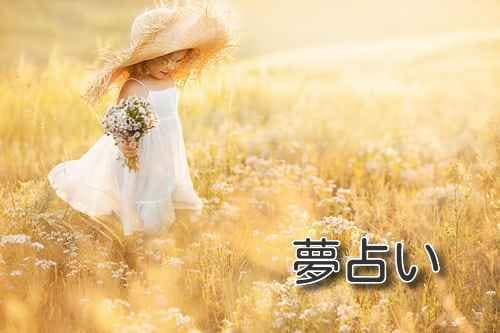 夢鑑定をします あなたの見た気になる夢を詳細に読み解きます。 イメージ1