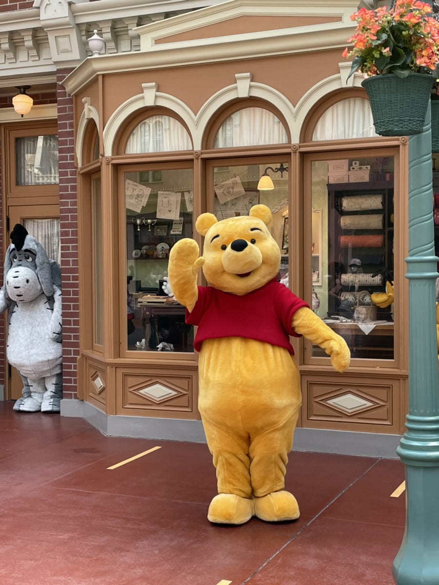 ディズニーランド・シーの質問、プラン作成を受付ます ディズニーの現状や今のシステムなど疑問点を解決します イメージ4