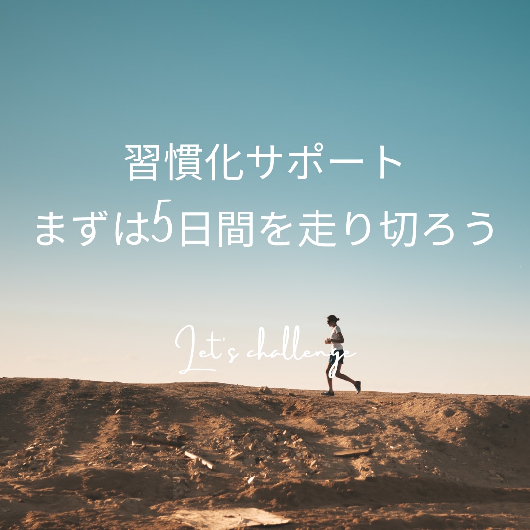 習慣化の最初の5日間をサポートします 目標達成するために、朝活・昼活・夜活の習慣化をお手伝いします イメージ1