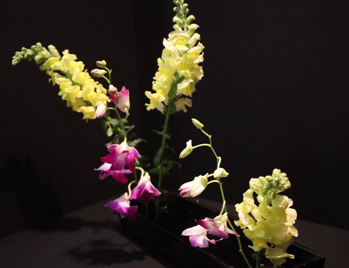 お花をペットポドルで飾れるように教えます 華道師範所有者が、華道の要素を活かして、お教えします。 イメージ8