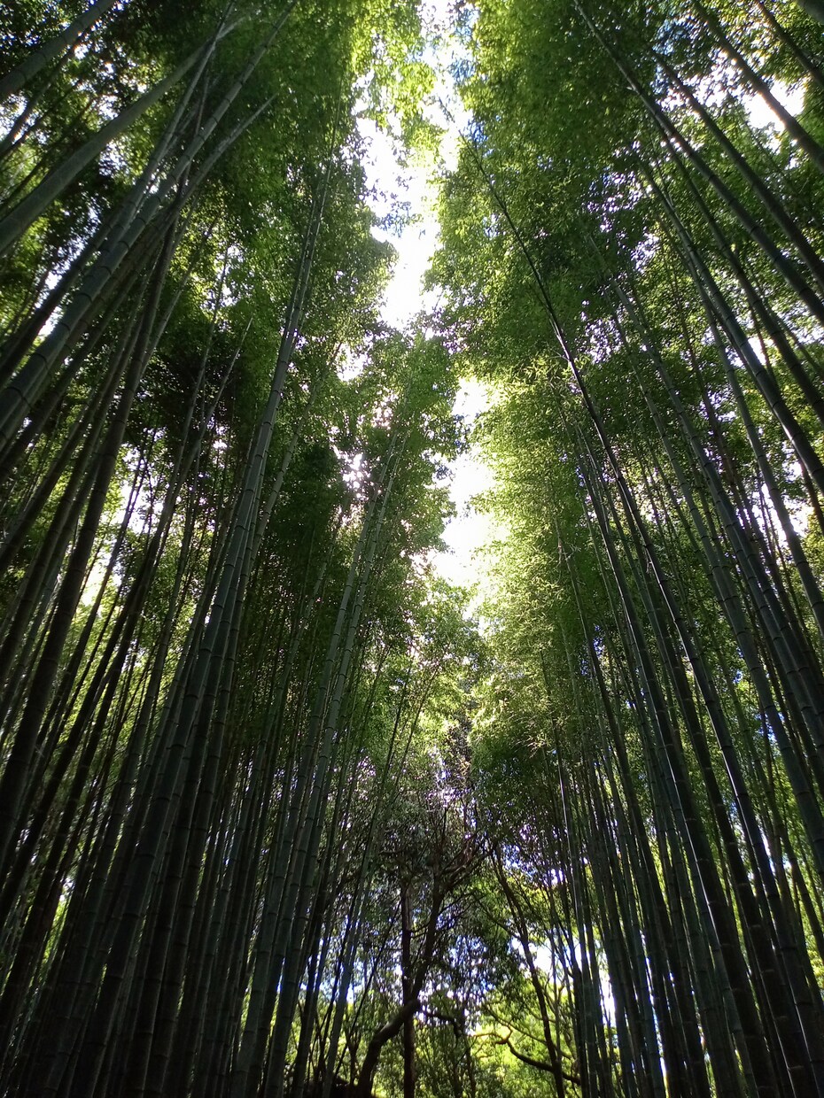 人間関係、介護、などお話を聴かせていただきます ２人の子育て、親の介護を経験している60代主婦。 イメージ1