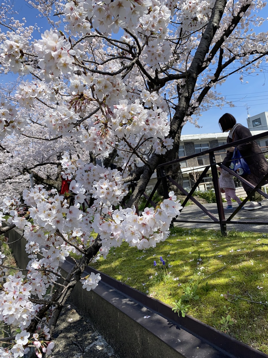 あなたの悩み誰かに聞いてもらいたいききます 47才経験豊富な私が、相談、愚痴、お話伺います。 イメージ3