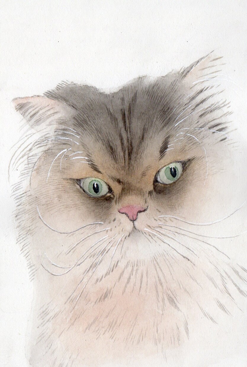 ペットの肖像、リアル似顔絵を原画に描きます 「はがき大」の原画取引のみで、お願いします。 イメージ5
