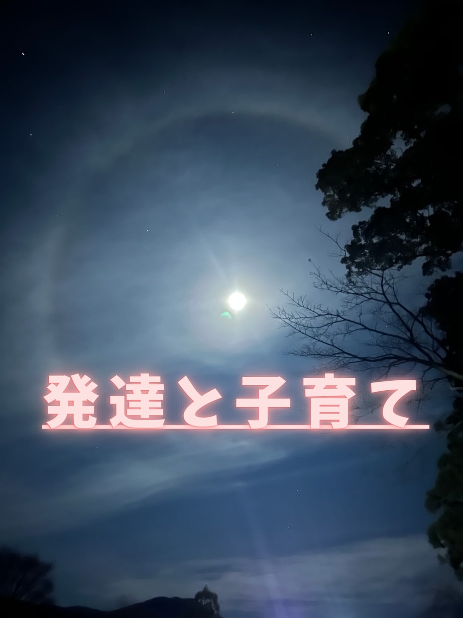 お子様の発達で悩んでいるママさんの相談にのります お子様の発達に悩む親御さんの気持ち、当事者親が聞きます。 イメージ1
