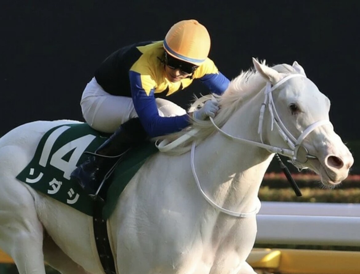 本物の競馬予想教えます ※週末重賞レースにて【人気関係なく】期待出来る馬を教えます。 イメージ1
