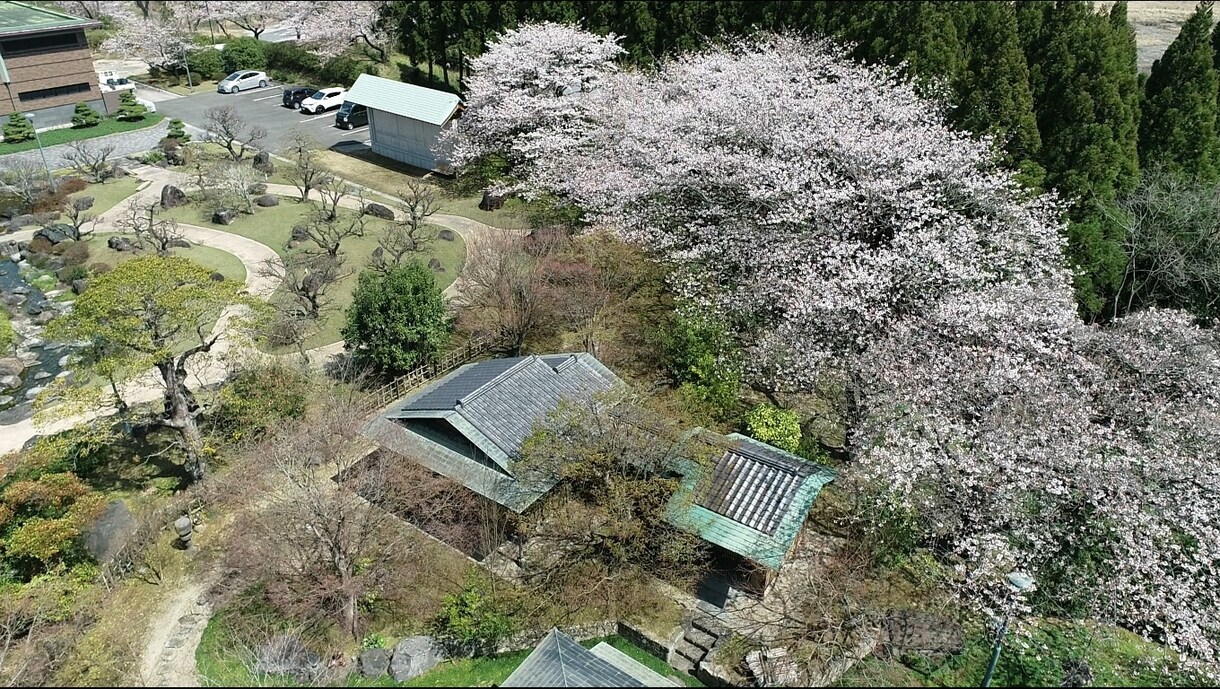ドローン空撮　台風被害　屋根・看板など空撮します ドローン空撮　山林、農地、倉庫、看板、記念空撮 イメージ7