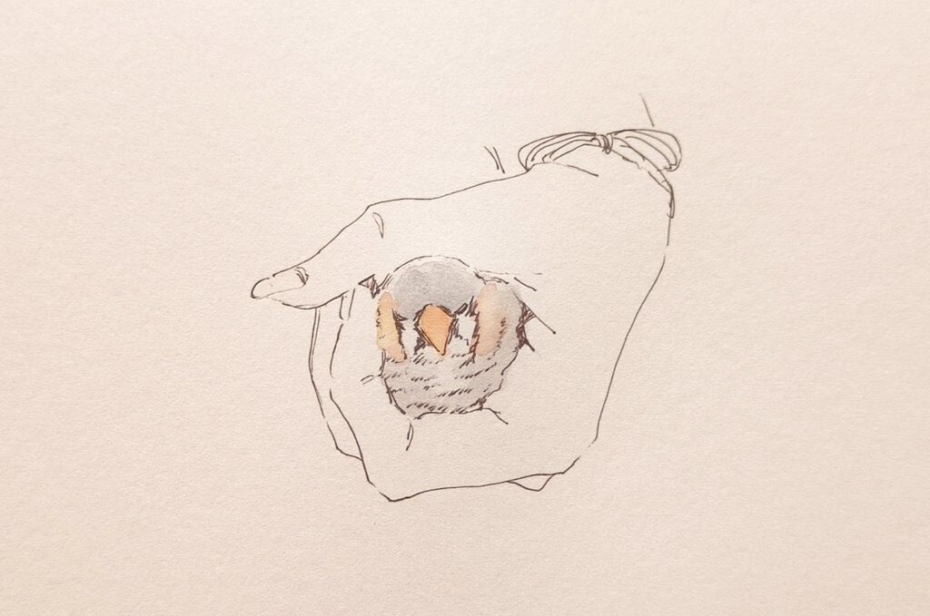ペットのイラストお描きします ペンと水彩でオシャレなペットイラストを制作します！ イメージ3