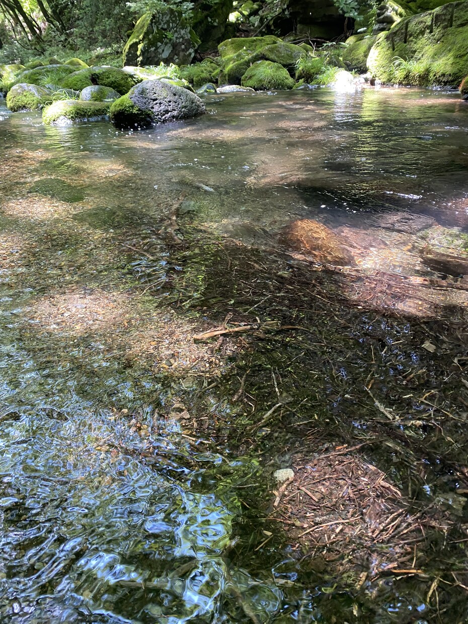 気軽に話せる“あなた専用の話し相手”になります 5分でも一人で悩んでることを吐き出してスッキリしてみませんか イメージ1