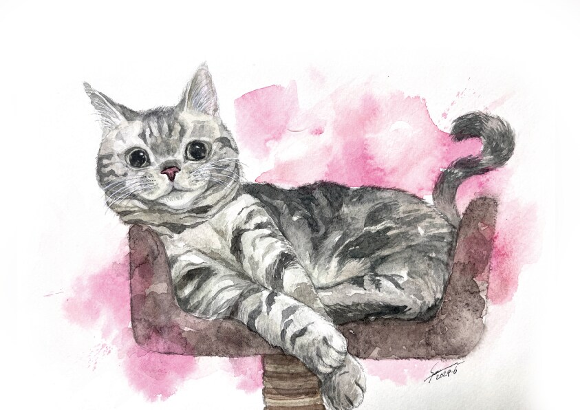 動物似顔絵・手描きの水彩で描きます 鮮やかなタッチの水彩画で、思い出をアートとして残しませんか? イメージ6