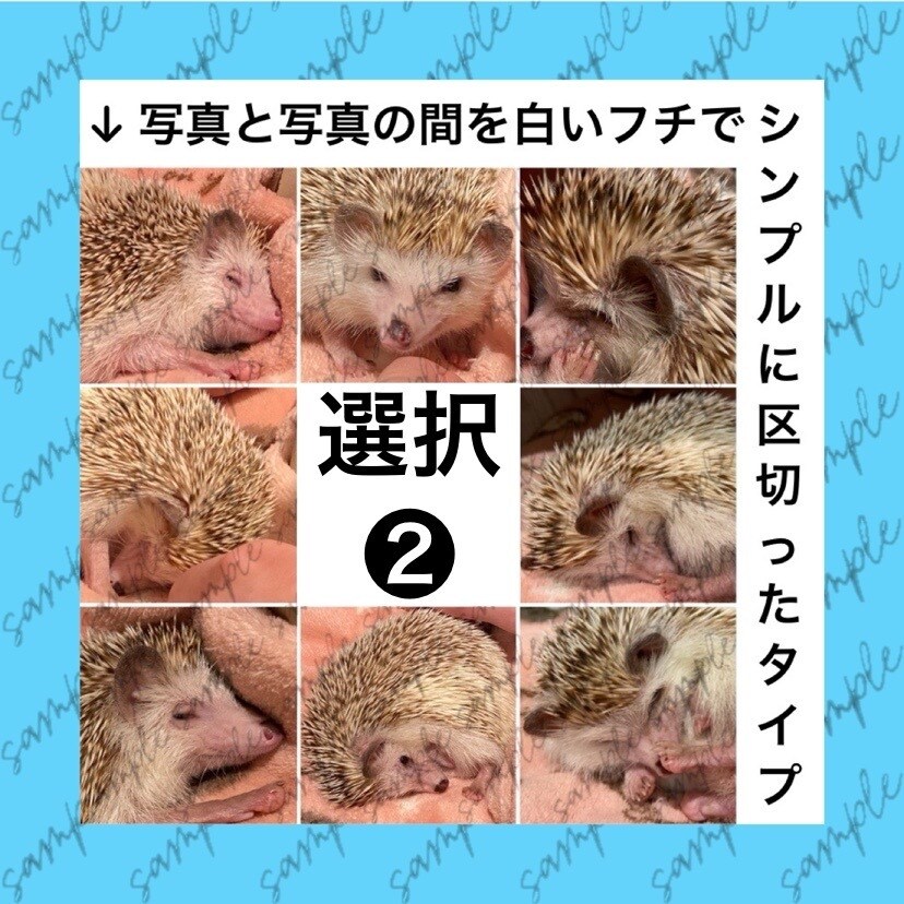 複数の写真を１枚にまとめてレイアウトします 日常／商品紹介／告知／推し活など用途に合わせ幅広く対応します イメージ5