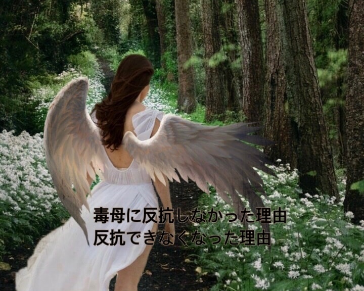 毒親と決別した私︎☘️あなたの幸せを一緒に考えます 親に優しく？できなくて当然⭕️虐待／HSP／AC／モラハラ イメージ5